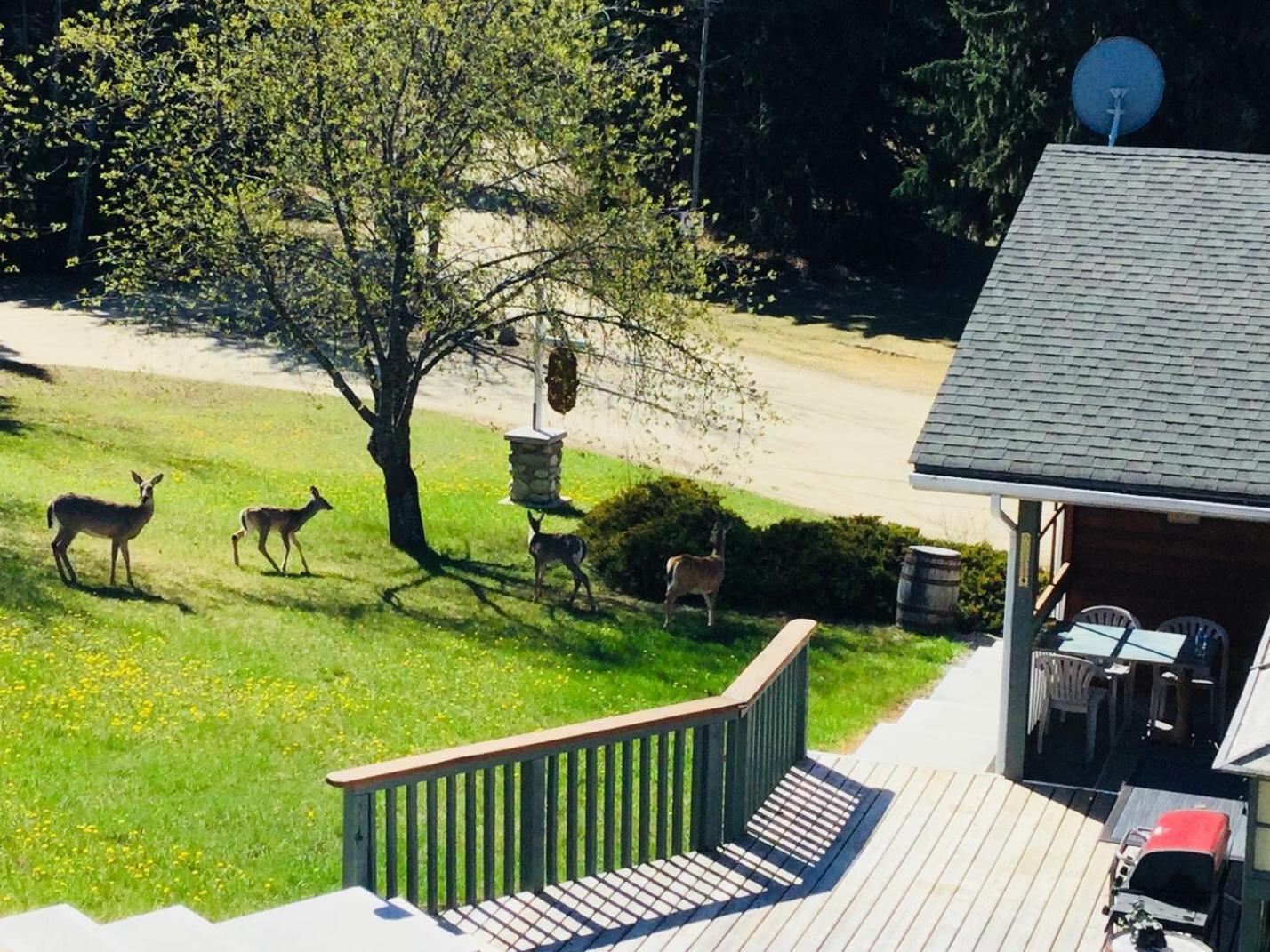Dream Catcher Inn Valemount Esterno foto