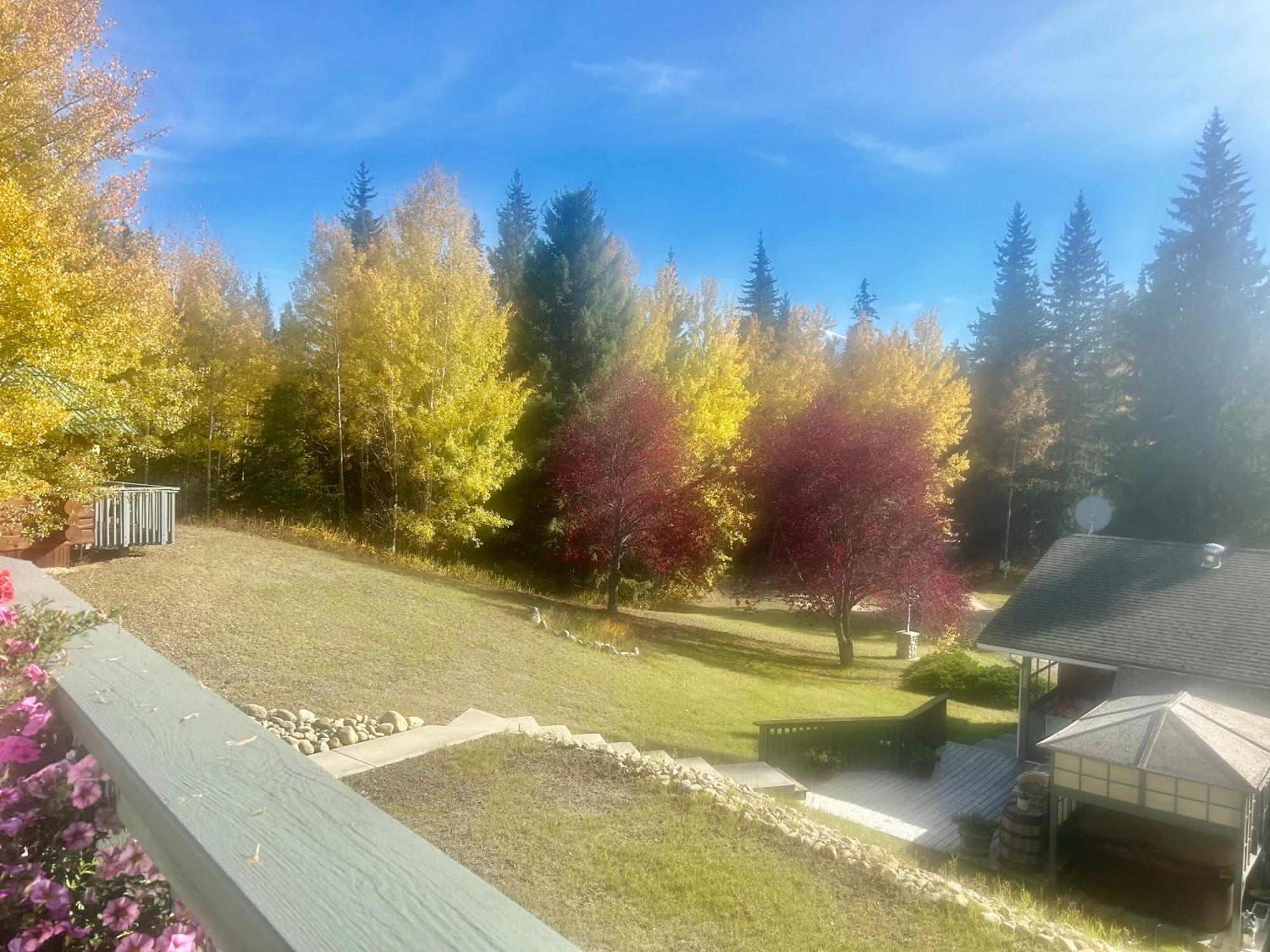 Dream Catcher Inn Valemount Esterno foto