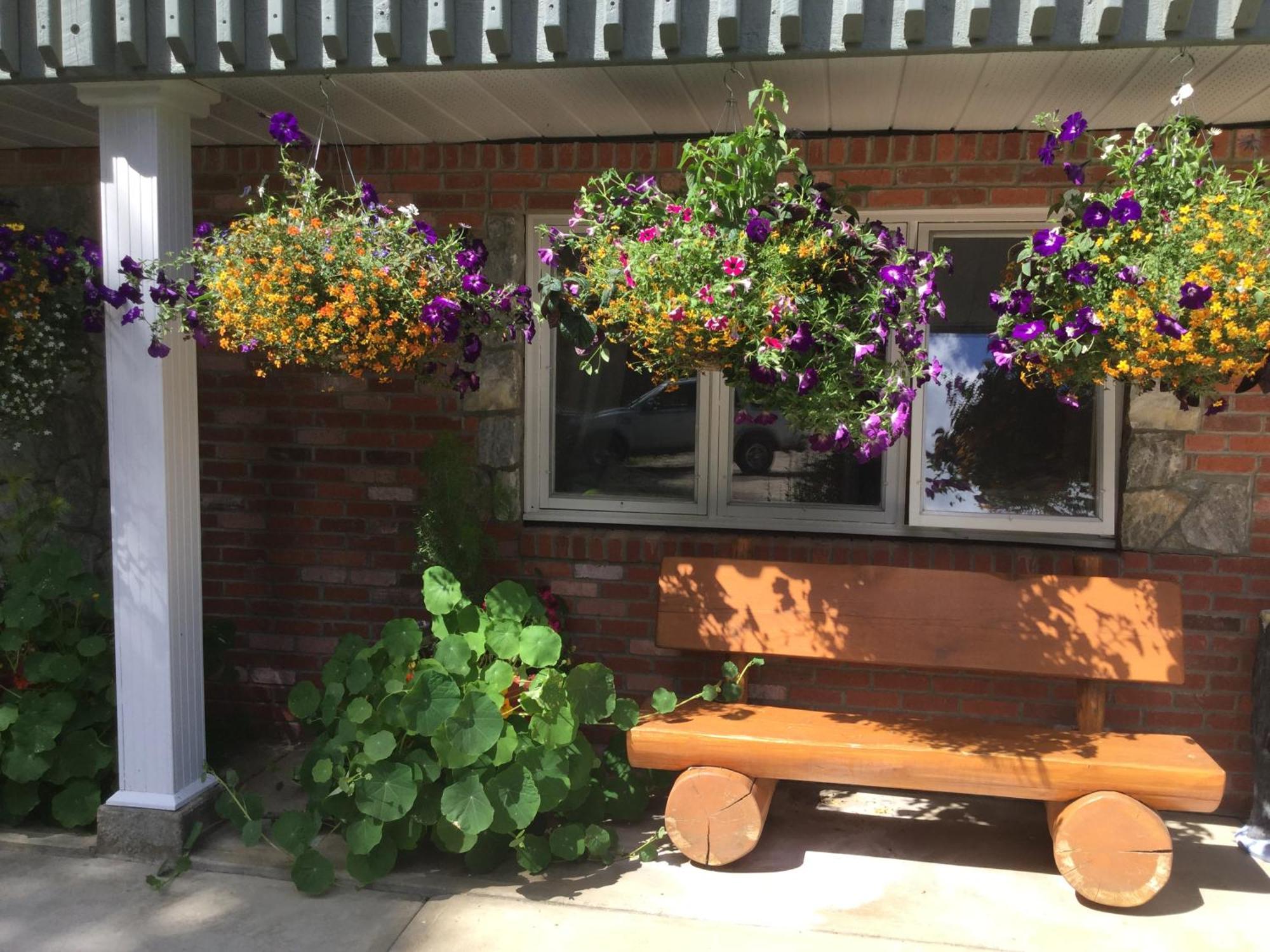 Dream Catcher Inn Valemount Esterno foto