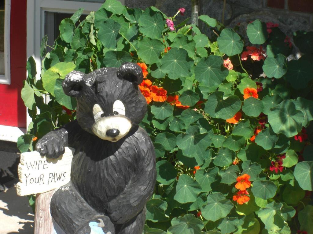 Dream Catcher Inn Valemount Esterno foto